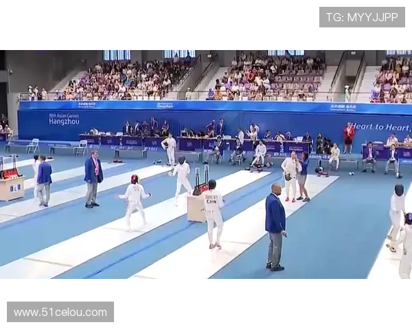 杭州排球队转型纪实:从传统到现代的奋斗与蜕变之路